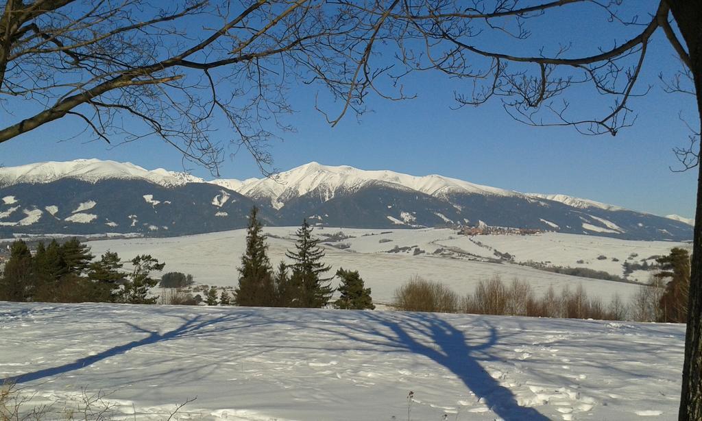 Domcek U Hanov Liptovský Mikuláš エクステリア 写真